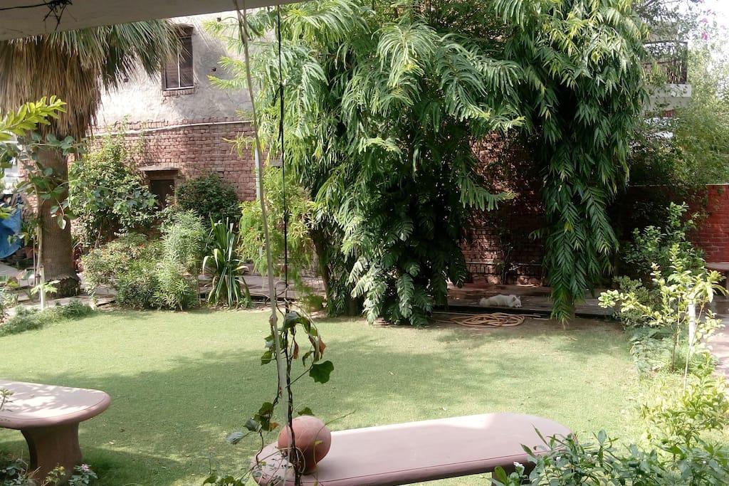 Jungle Lodge Bharatpur Exterior photo