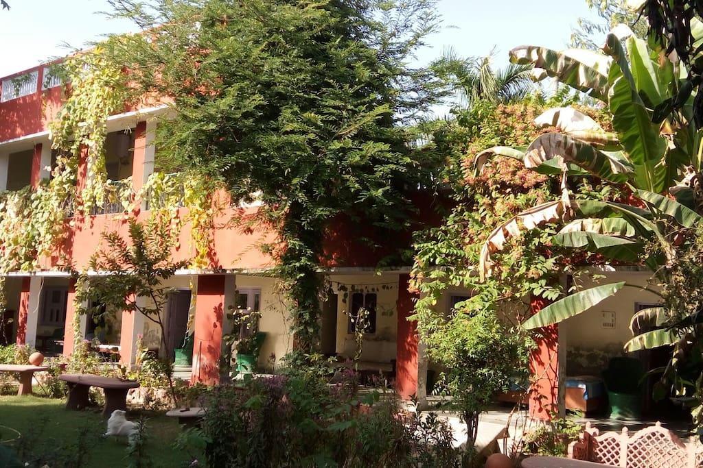 Jungle Lodge Bharatpur Exterior photo