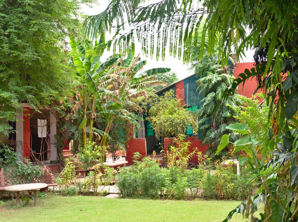Jungle Lodge Bharatpur Exterior photo