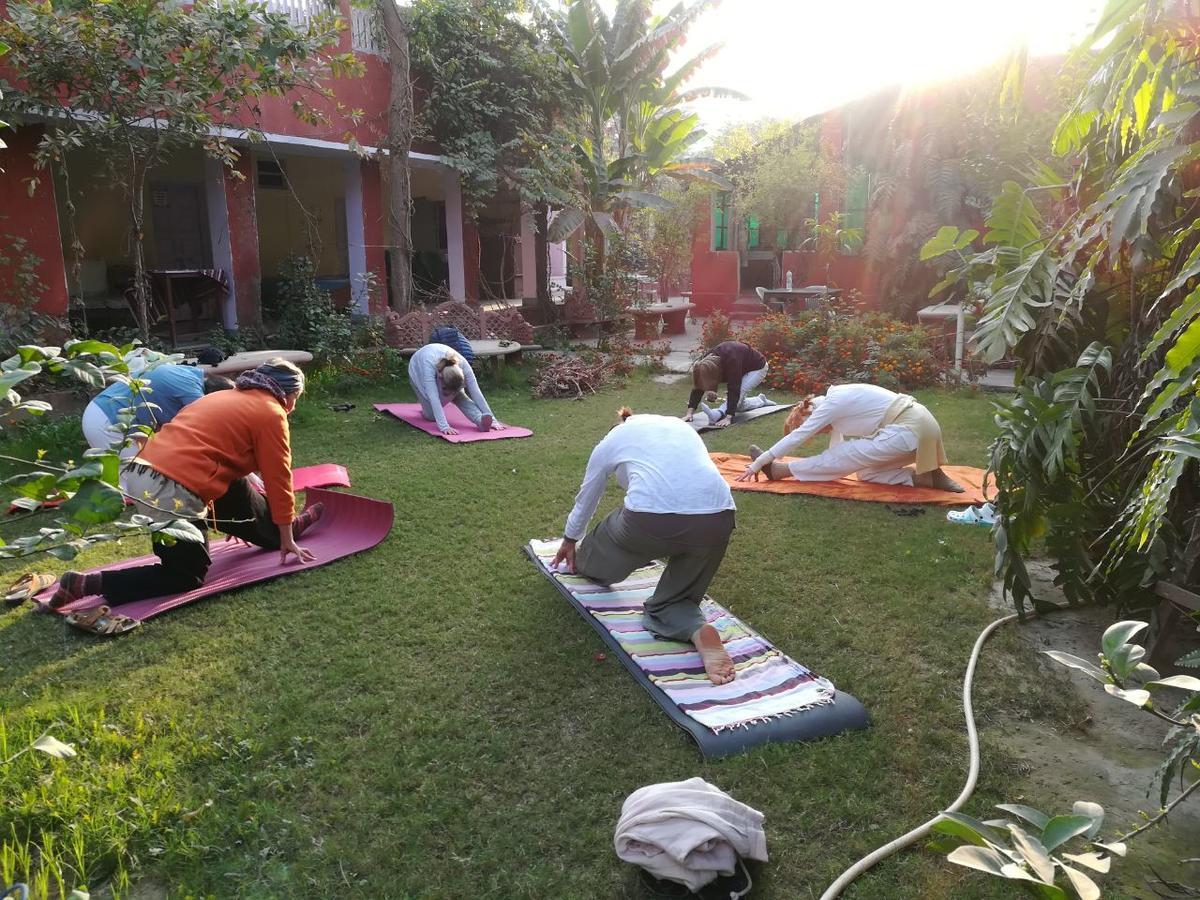 Jungle Lodge Bharatpur Exterior photo